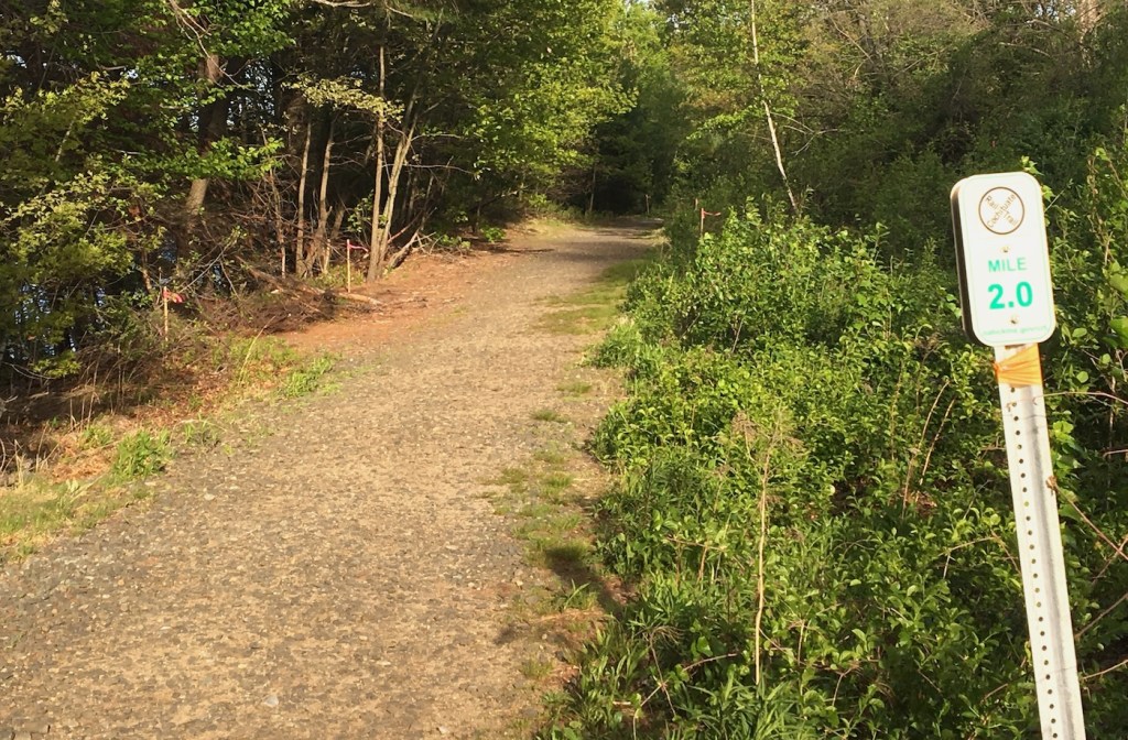 Natick, MassDOT Break Ground on Cochituate Trail Link to Framingham