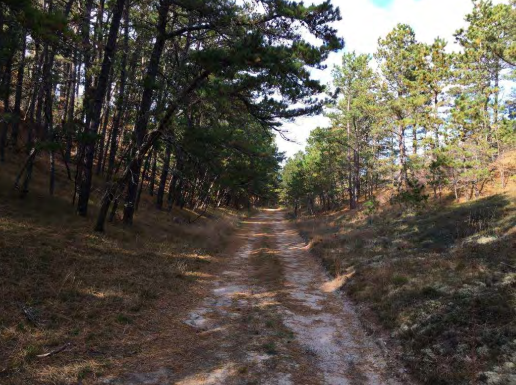 Wellfleet Debates Details Over Northern Extension of Cape Cod Rail Trail