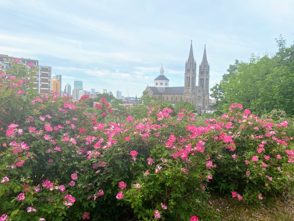 overlook of Boston from the top of Kevin Fitzgerald Park