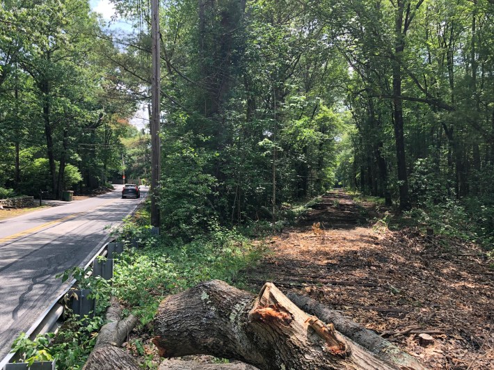 An abandoned railroad corridor through the woods. In the foreground is a freshly-felled tree. Rotting railroad ties mark the former railway, although the rails have been removed.