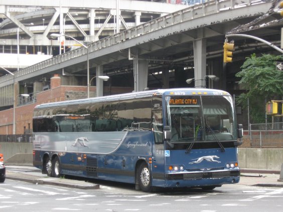 A Greyhound bus on a city street next to a highway viaduct