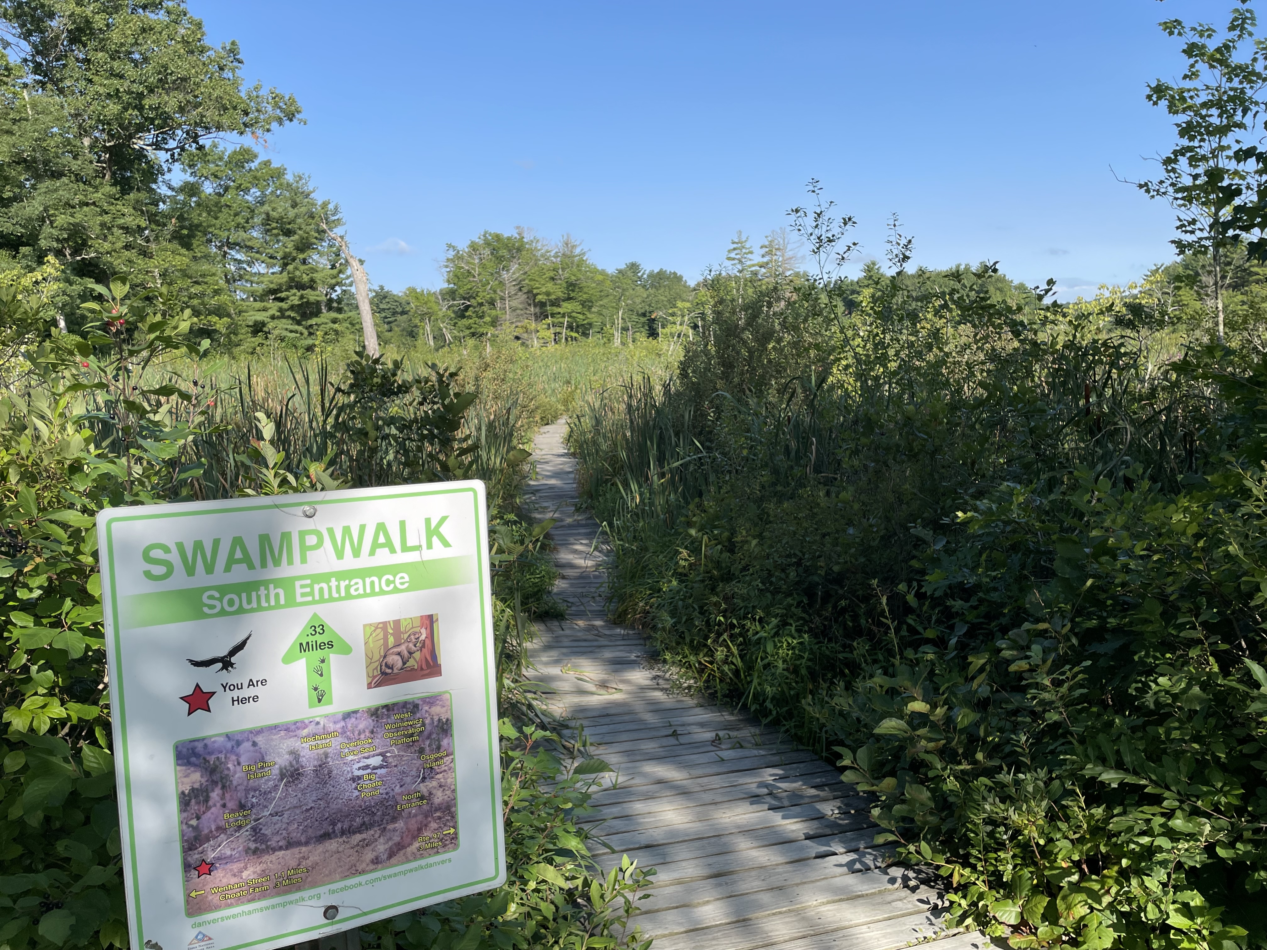 A wooden boardwalk trail extends into an overgrown swampy meadow. In the lower left foreground a sign reads "Swamp Walk south entrance, 0.33 miles" above an aerial map of the trail loop.