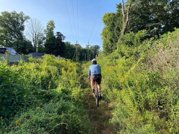 A man on a bike rides along a track that's crowded with tall grass and weeds under two power lines.