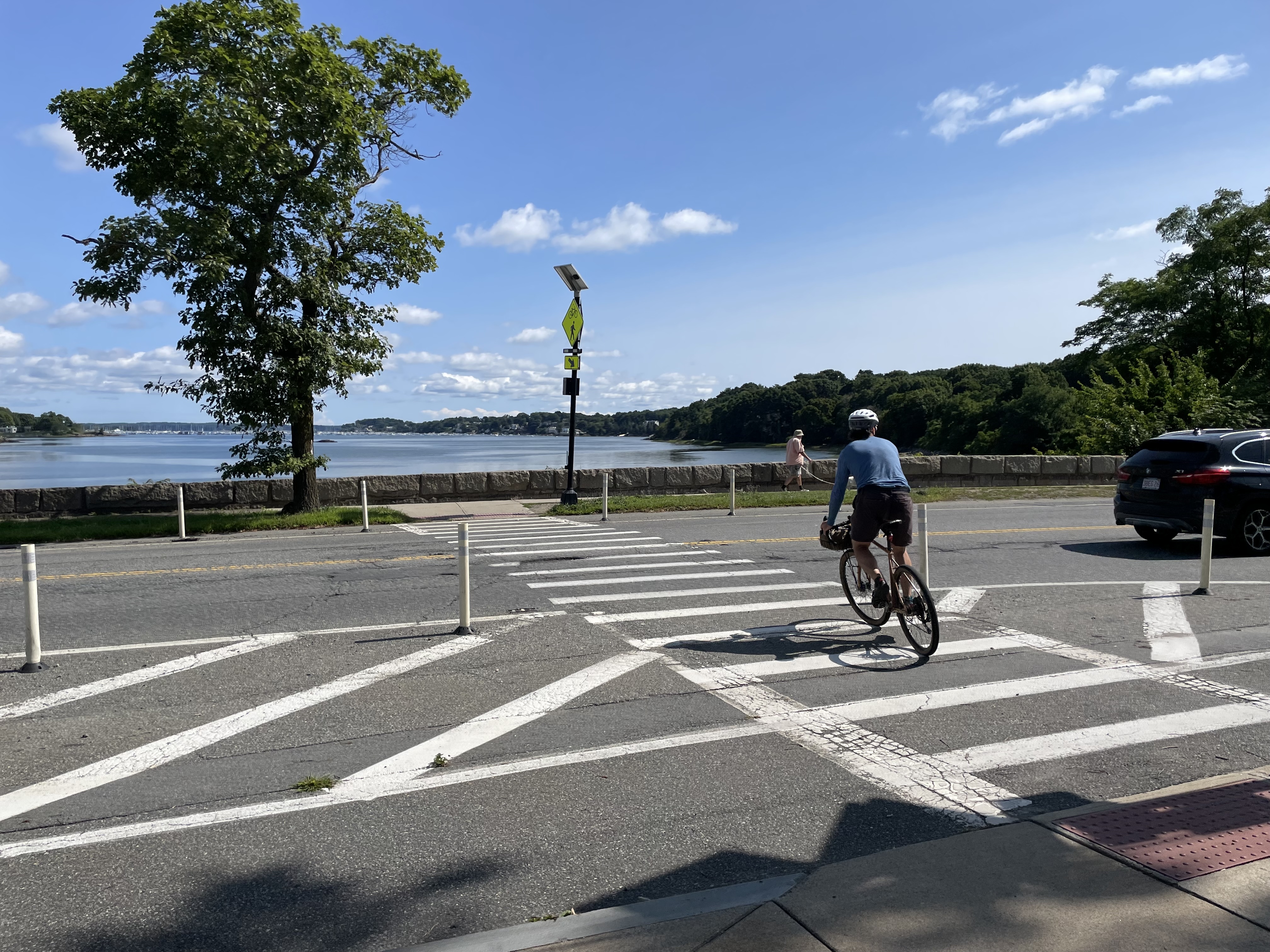 A man on a bike in a blue shirt rides across a crosswalk. On the other side of the street is a harbor surrounded by trees.