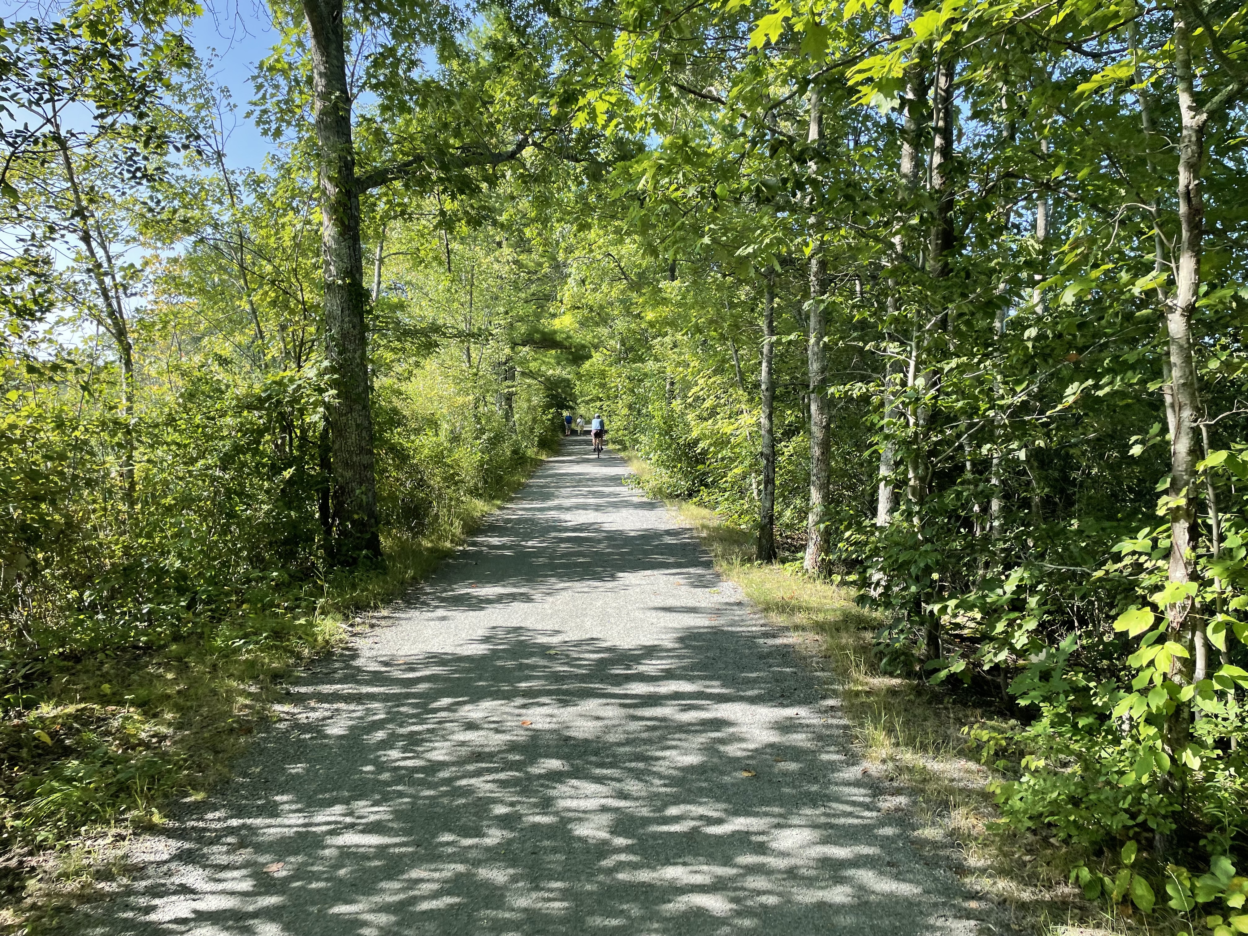 A straight stone-dust path runs through a tunnel of deciduous trees