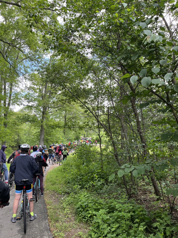 Dozens of cyclists ride single file on a winding path through a wooded park, surrounded by tall green trees and dense underbrush.