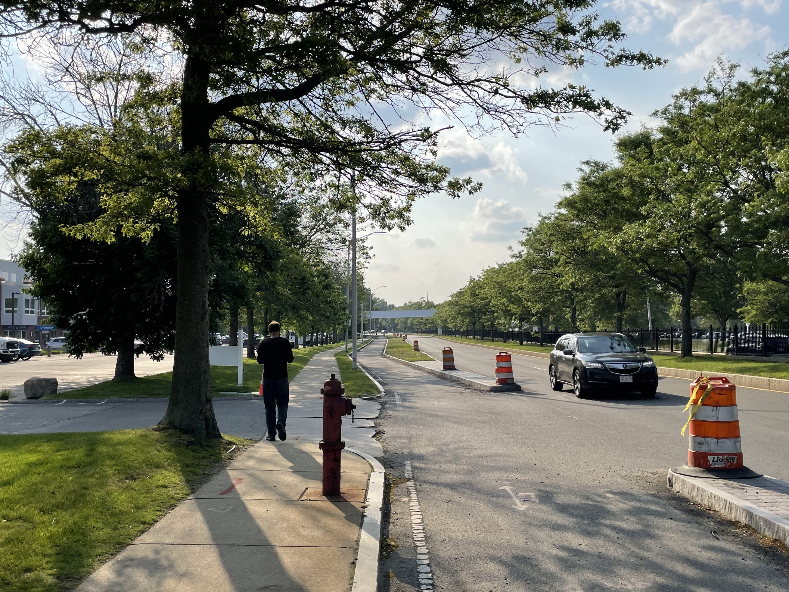 A man walks on a sidewalk next to an under-construction bike path lined with orange construction barrels. A highway runs to the right of the bike path, and mature trees line both sides of the roadway.