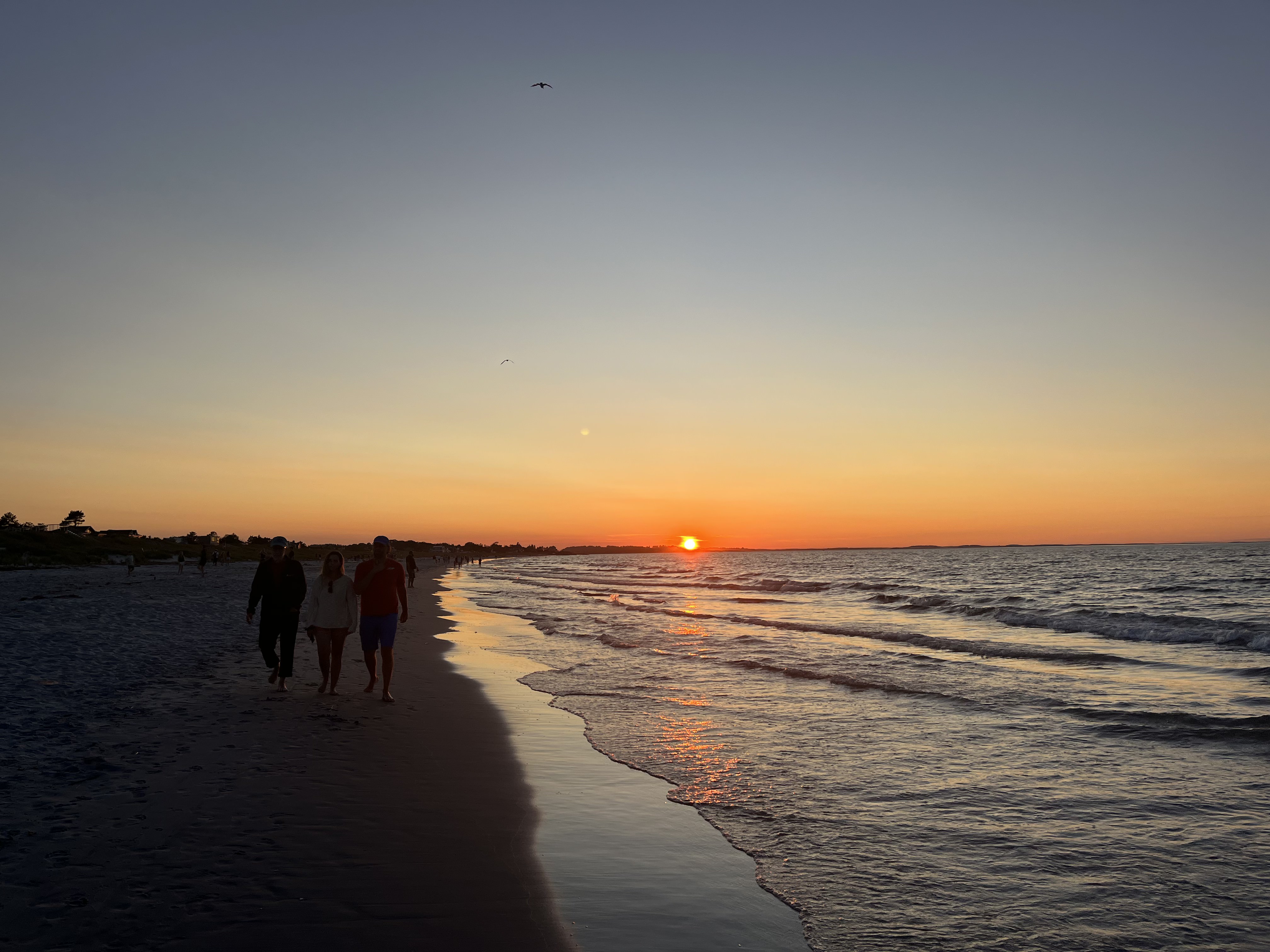A dark silhouette of Wingaersheek Beach with a glowing orange and blue sunset horizon.