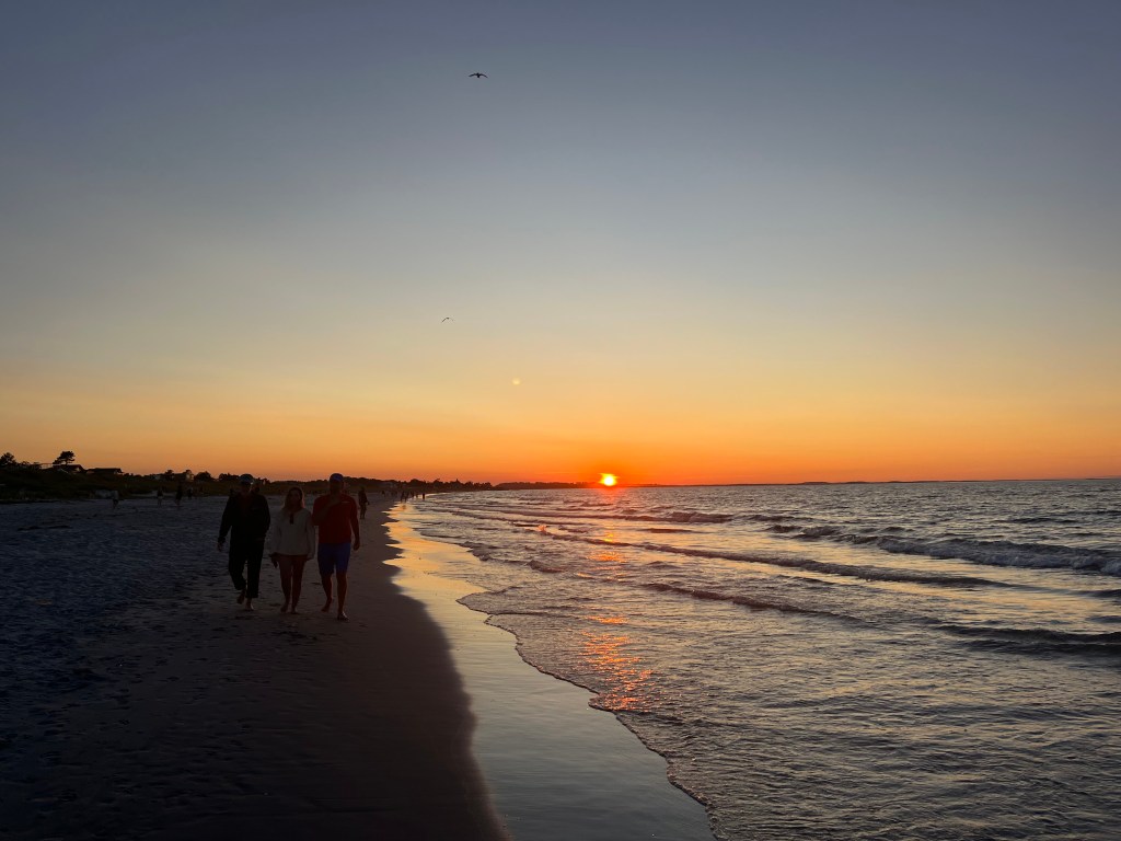 Romanticize It: Introducing Transit Girl Summer