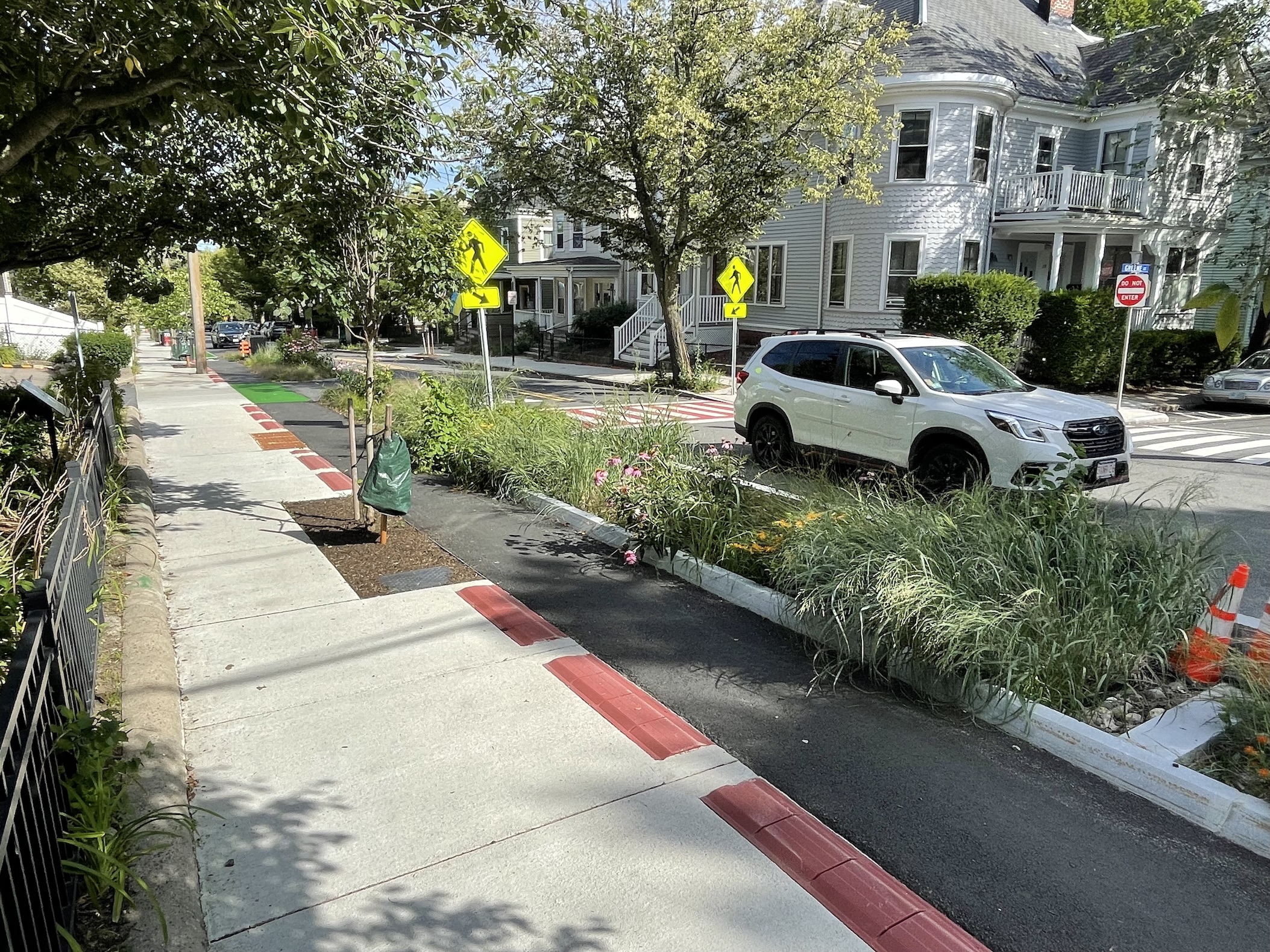 A garden full of grasses and pink coneflowers lines the curb of a city street through a residential neighborhood. In the foreground, on the near side of the garden, is a sidewalk with a newly-planted tree next to an asphalt-paved bike lane. On the far side of the garden, a white SUV travels on the street. Behind the car is a red-painted crosswalk marked with two diamond street signs.