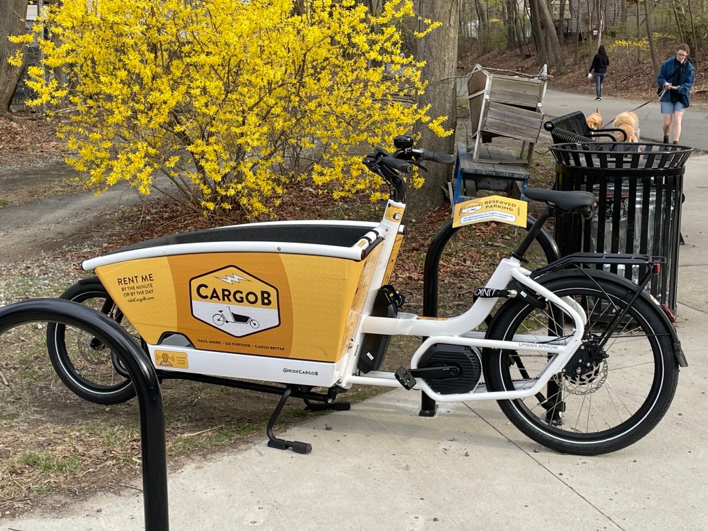 A white and yellow cargo bike with a large bucket in front of the handlebars is parked at a bike rack in front of a blooming forsythia bush next to a bike path. A logo on the bucket of the bike says "CargoB".