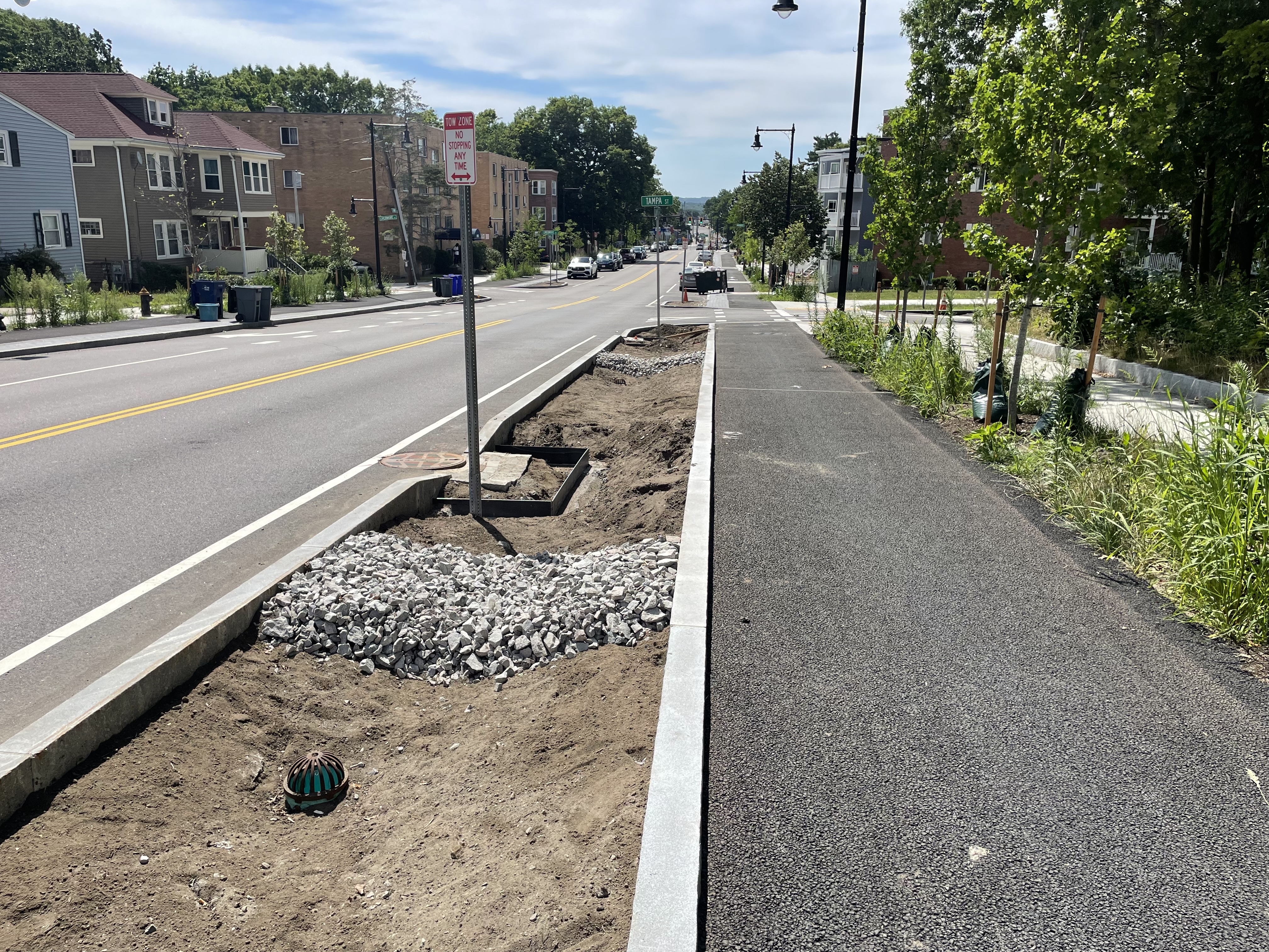 A new stormwater-collecting garden alongside a paved bike lane on a recently-built city street.