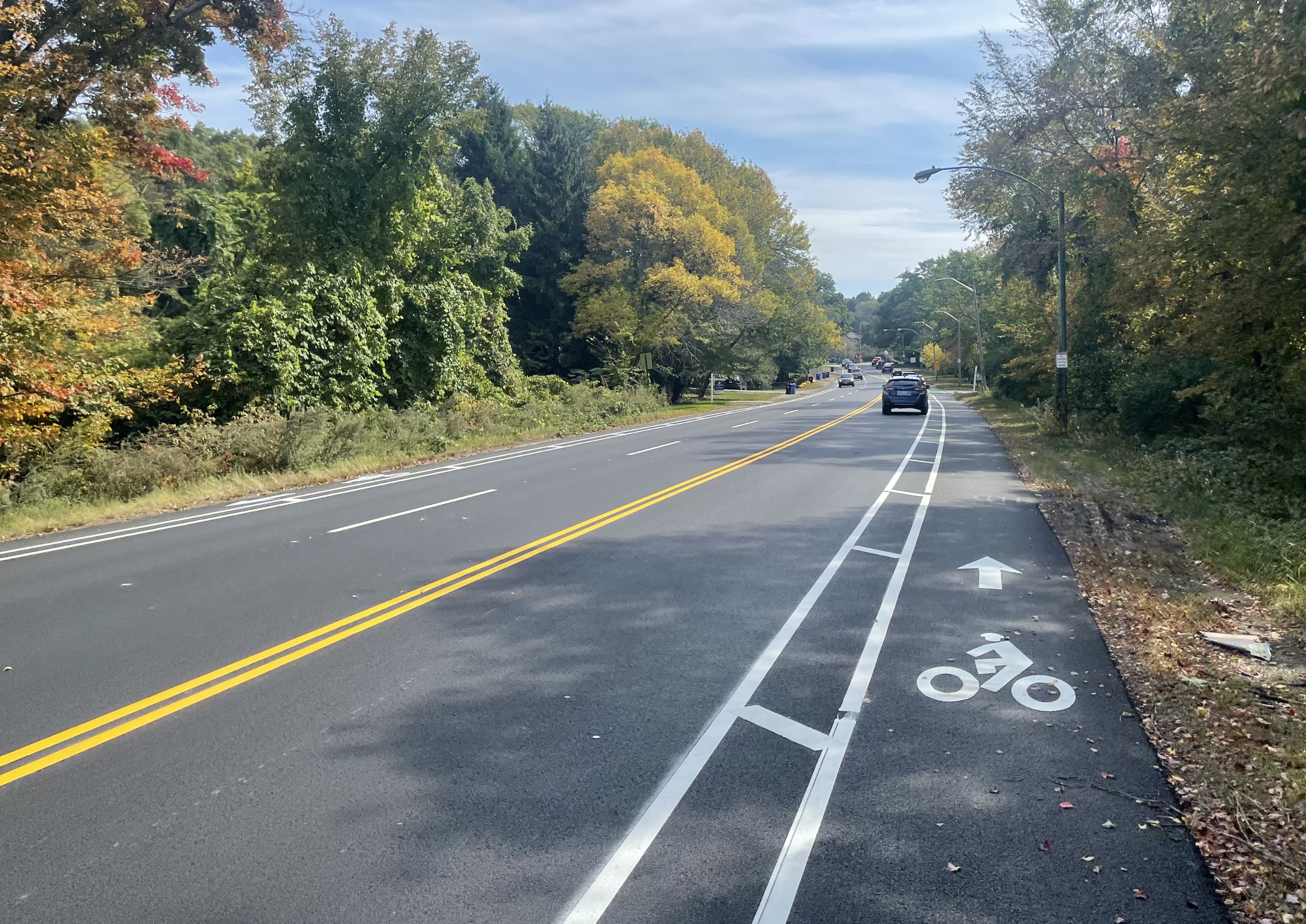 A roadway curves gently through a leafy forest. There are painted bike lanes on either side of the road, and three lanes for motor vehicles (two to the left of the yellow center line and one to the right) in the middle.